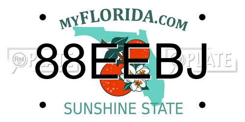 88EEBJ Florida License Plate