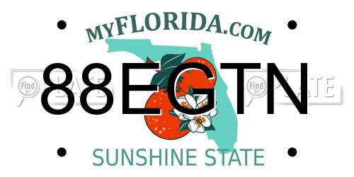 88EGTN Florida License Plate