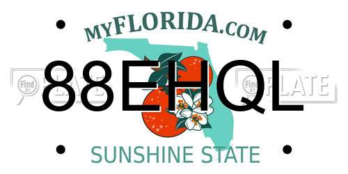 88EHQL Florida License Plate
