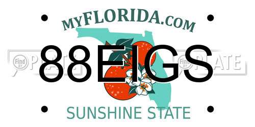 88EIGS Florida License Plate