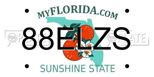 88ELZS Florida License Plate