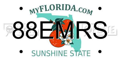 88EMRS Florida License Plate