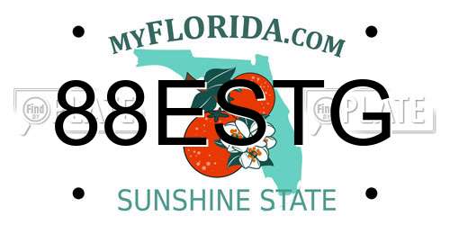 88ESTG Florida License Plate