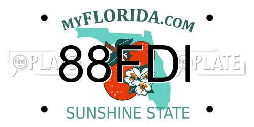 88FDI Florida License Plate