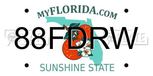 88FDRW Florida License Plate