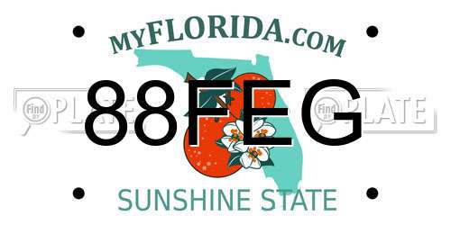 88FEG Florida License Plate