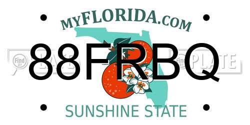 88FRBQ Florida License Plate