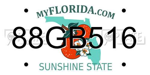 88GB516 Florida License Plate