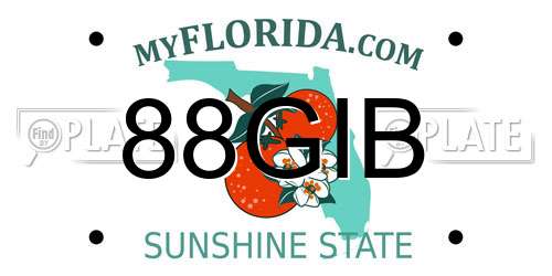 88GIB Florida License Plate