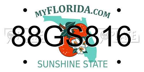 88GS816 Florida License Plate
