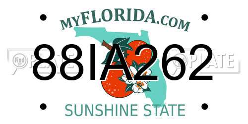 88IA262 Florida License Plate