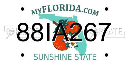 88IA267 Florida License Plate