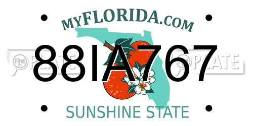 88IA767 Florida License Plate