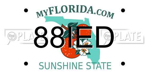 88IED Florida License Plate