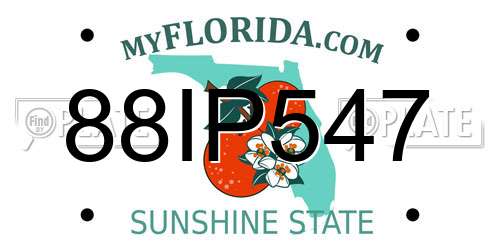 88IP547 Florida License Plate