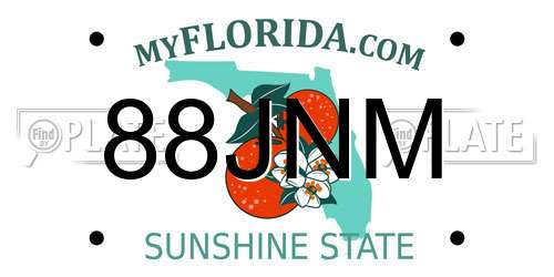 88JNM Florida License Plate
