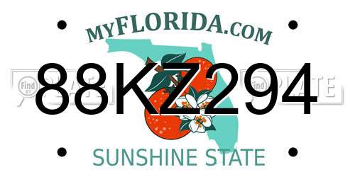 88KZ294 Florida License Plate
