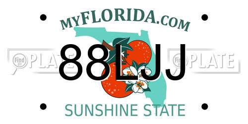 88LJJ Florida License Plate
