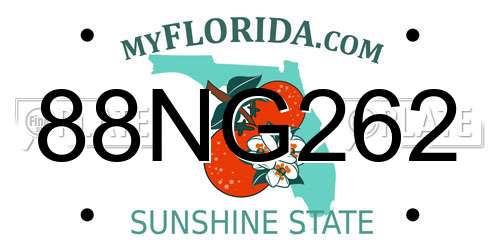88NG262 Florida License Plate
