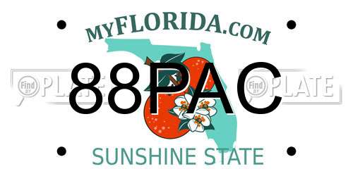 88PAC Florida License Plate