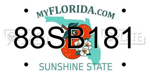 88SB181 Florida License Plate