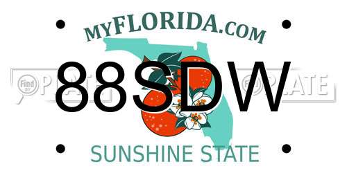 88SDW Florida License Plate