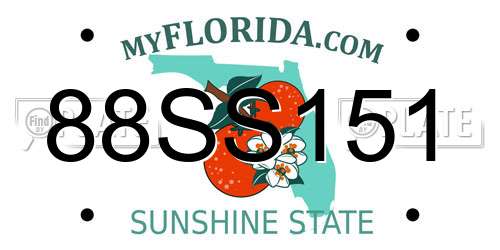 88SS151 Florida License Plate