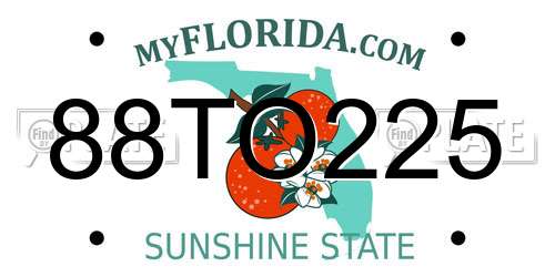 88TO225 Florida License Plate