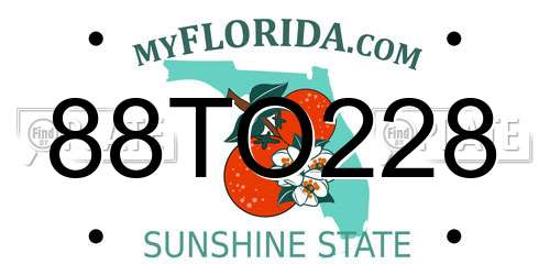 88TO228 Florida License Plate