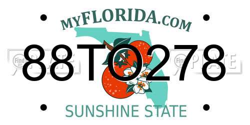88TO278 Florida License Plate