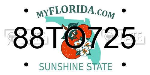 88TO725 Florida License Plate