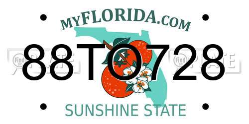 88TO728 Florida License Plate