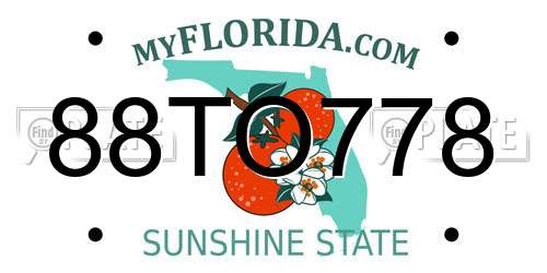 88TO778 Florida License Plate