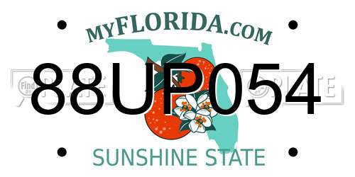 88UP054 Florida License Plate