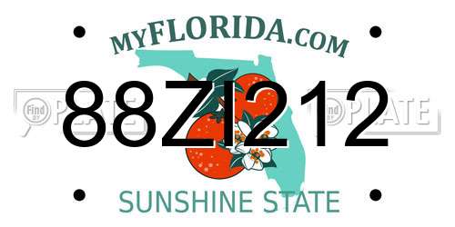 88ZI212 Florida License Plate