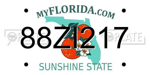 88ZI217 Florida License Plate