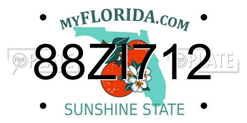 88ZI712 Florida License Plate
