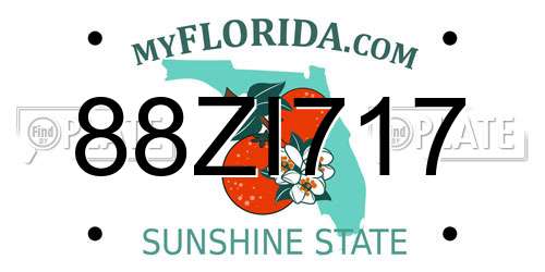88ZI717 Florida License Plate