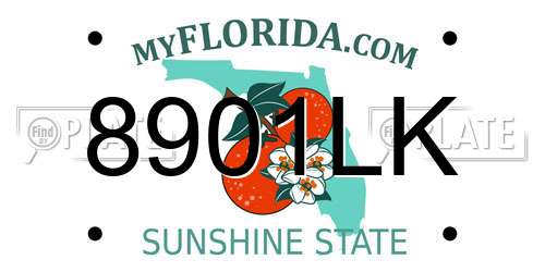 8901LK Florida License Plate