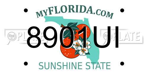 8901UI Florida License Plate