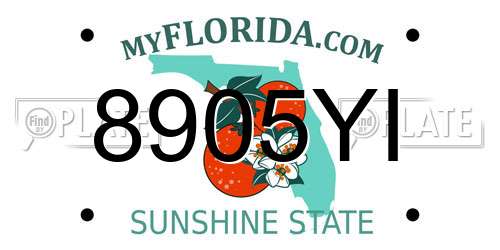 8905YI Florida License Plate