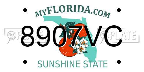 8907VC Florida License Plate