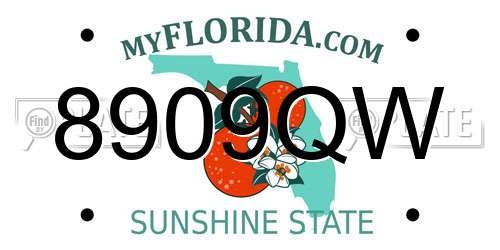 8909QW Florida License Plate