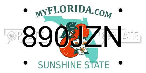 890JZN Florida License Plate