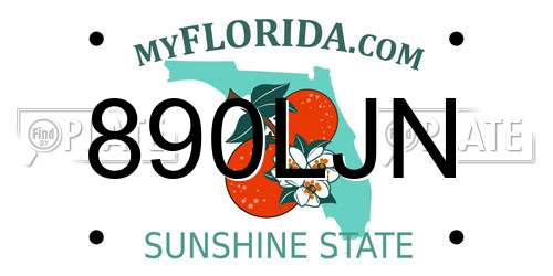 890LJN Florida License Plate