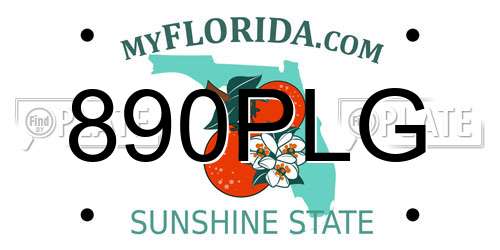 890PLG Florida License Plate