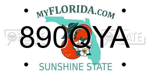 890QYA Florida License Plate