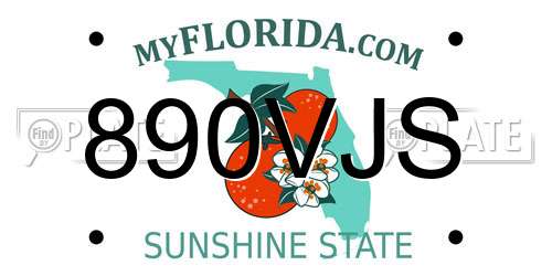 890VJS Florida License Plate