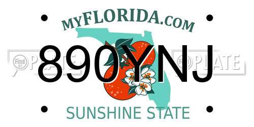 890YNJ Florida License Plate