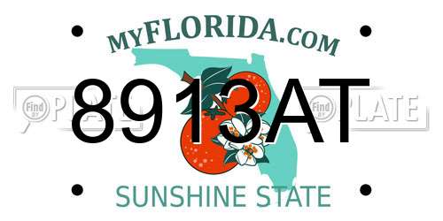 8913AT Florida License Plate